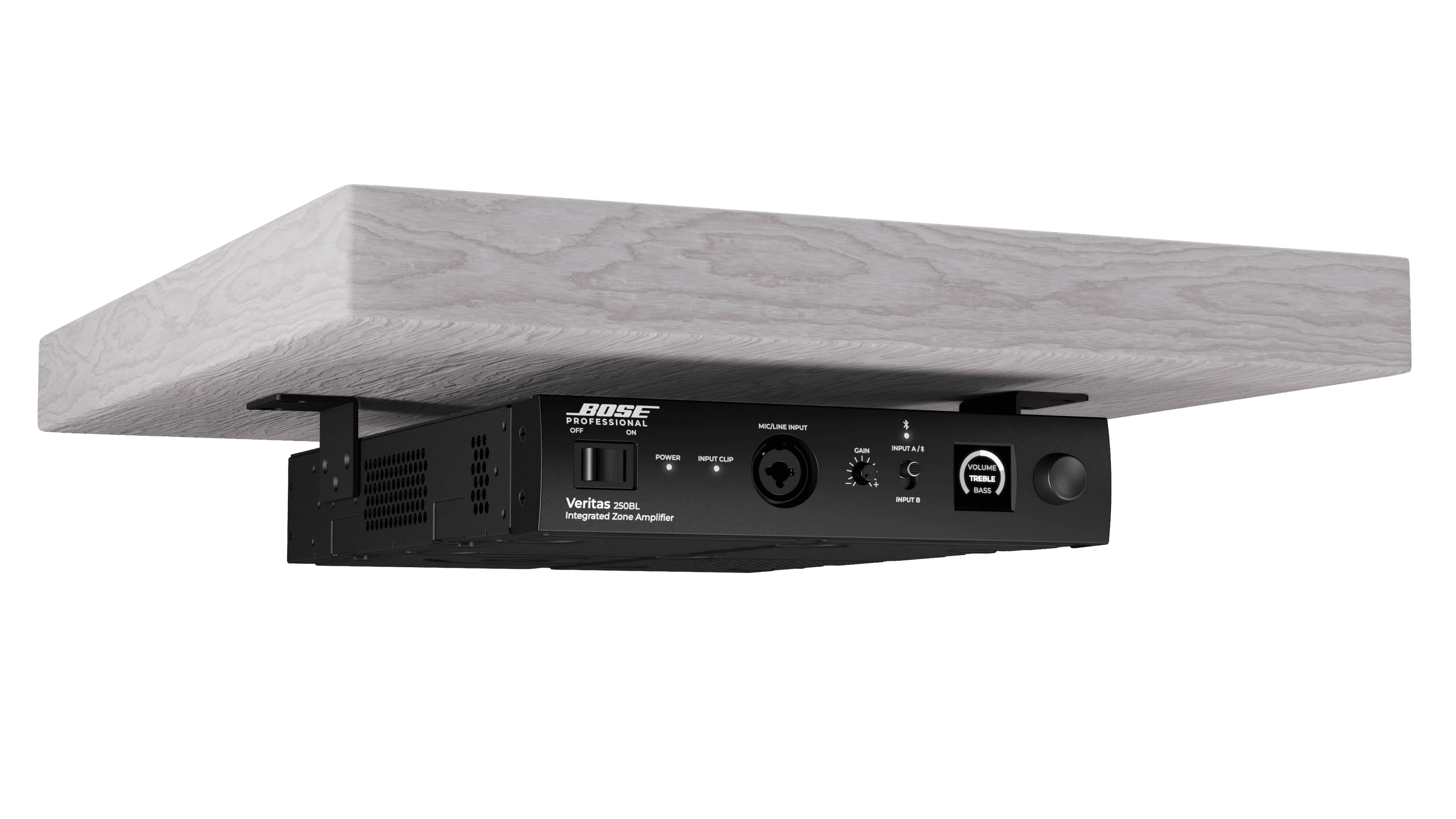 Bose Veritas 1100BH 智能混音功放8